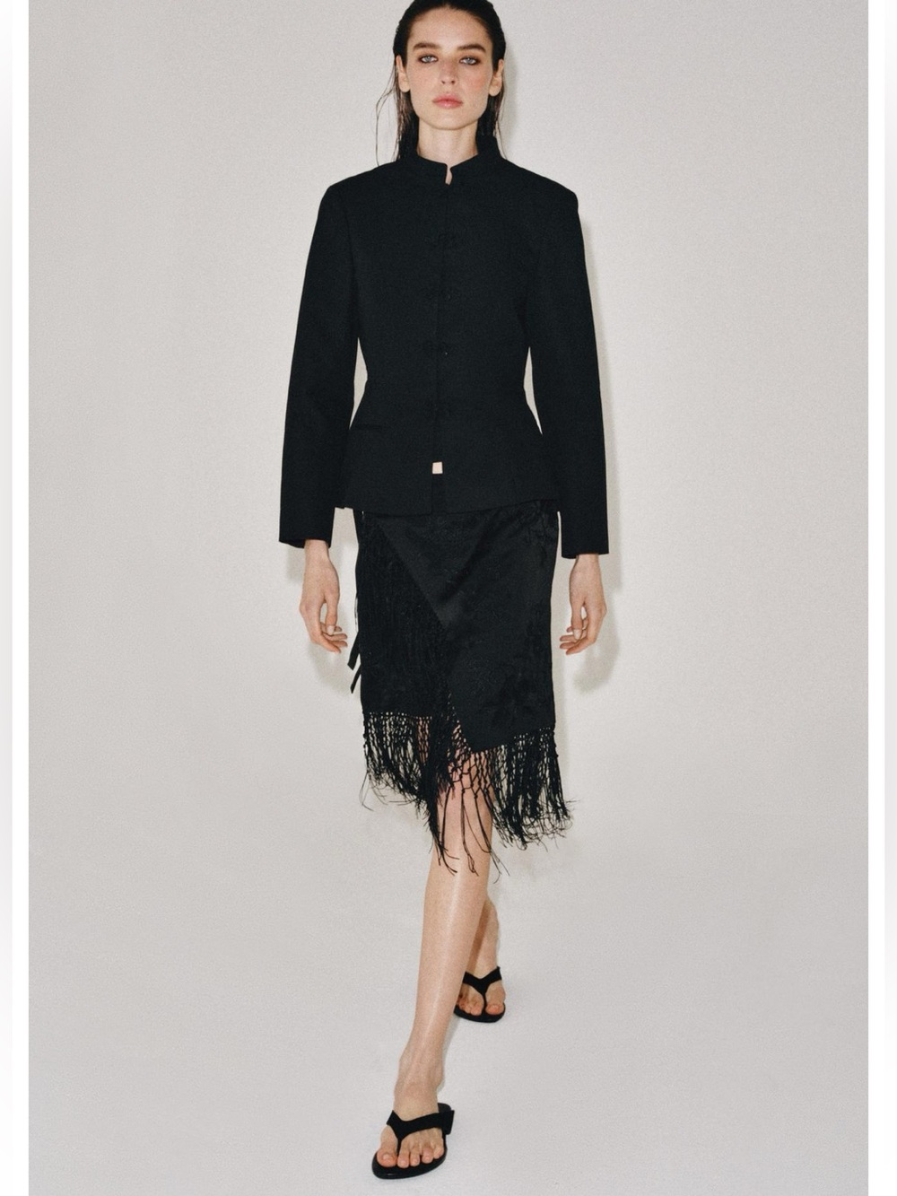 Zara ZW Collection Embroidered Fringe Skirt